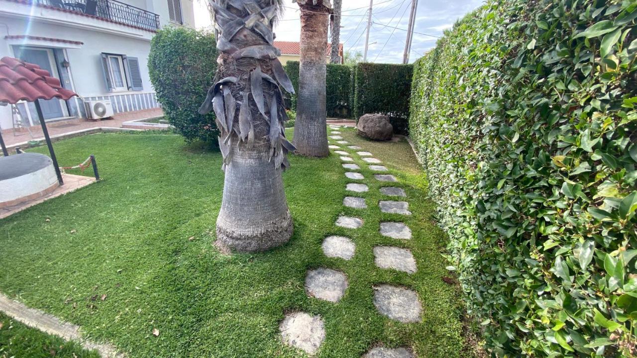 شقة Patras Palm Tree المظهر الخارجي الصورة