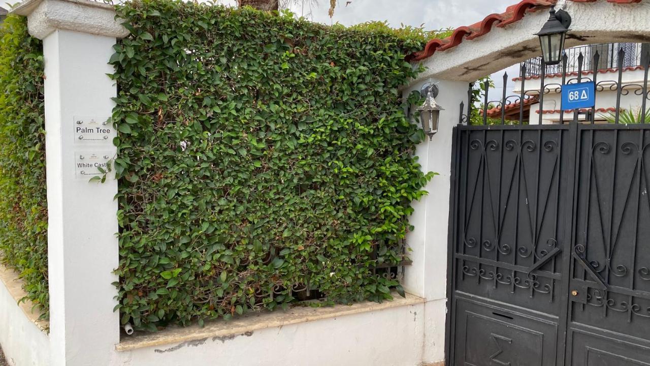 شقة Patras Palm Tree المظهر الخارجي الصورة