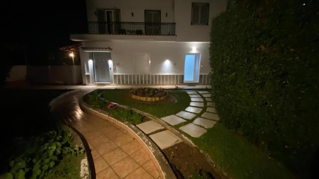 شقة Patras Palm Tree المظهر الخارجي الصورة