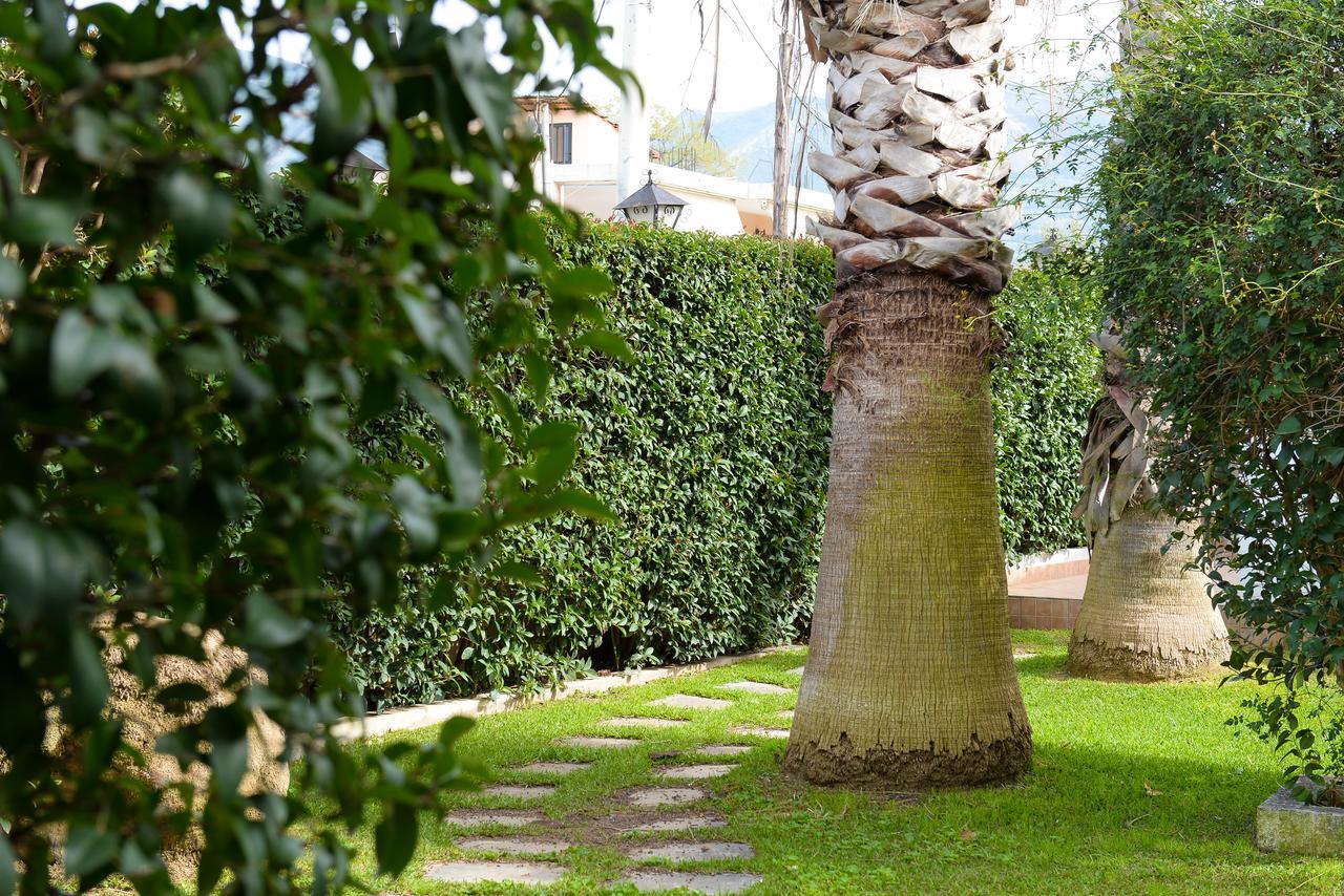 شقة Patras Palm Tree المظهر الخارجي الصورة